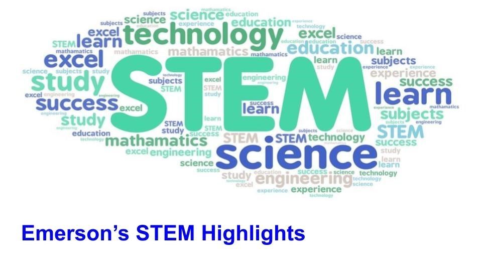  STEM